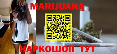 гидра Славгород