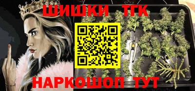гидра Славгород