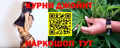 гидра Славгород