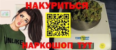 гидра Славгород