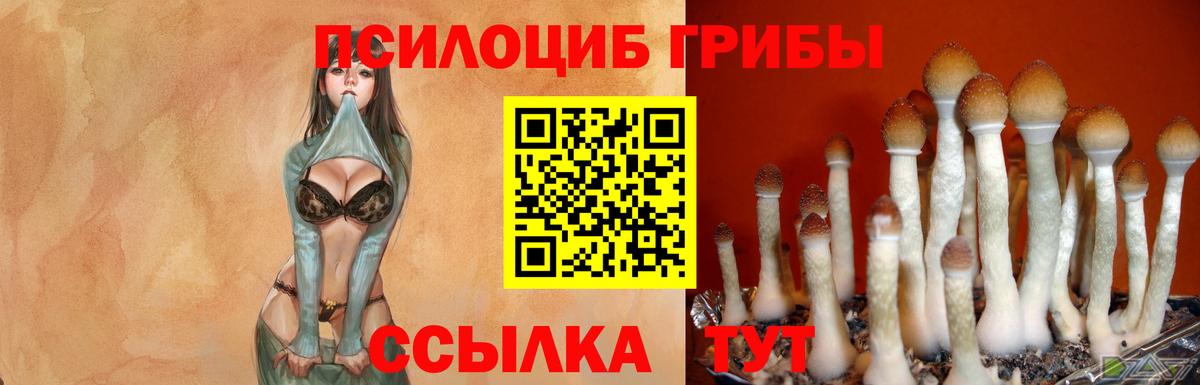 Новокубанск  Псилоцибиновые грибы мицелий  Вход с VPN  Галлюциногенные грибы ЛСД 